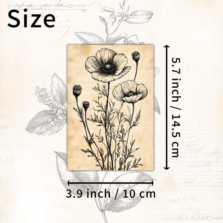 Vintage Botanical Ephemera Cards Set of 20, Antique Flower Illustration Cards, Junk Journal Scrapbooking Cards, Botanical Collage Pack