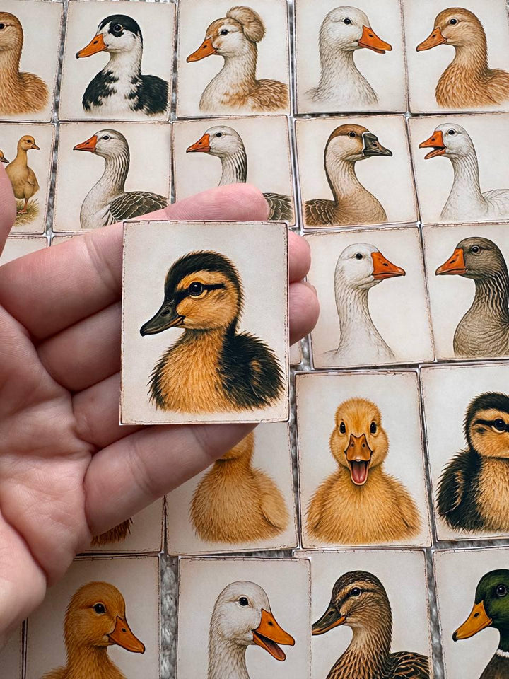 Set of 30 Duck Stickers Set, Vintage Duckling Stickers, Farm Animal Scrapbook Stickers, Cottagecore Planner Stickers,Cute Goose Duck Journal