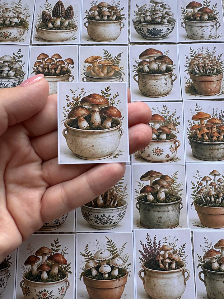 Set of 30 Vintage Mushroom Stickers Set, Cottagecore Scrapbook Stickers, Forest Mushroom Planner Stickers, Botanical Journal,Autumn Ephemera