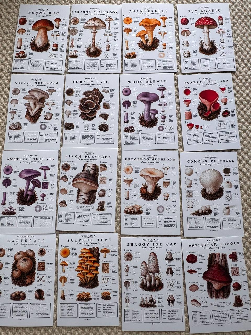 Vintage Mushroom Stickers Set of 16, Botanical Fungi Stickers, Cottagecore Nature Journal Stickers, Scrapbooking Decor, UK Handmade