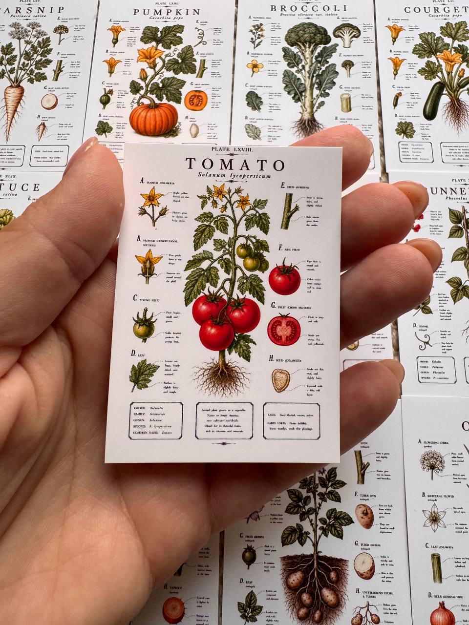 Vintage Vegetable Stickers Set of 16, Botanical Garden Stickers, Vegetable Journal Ephemera, Cottagecore Scrapbook, UK Handmade