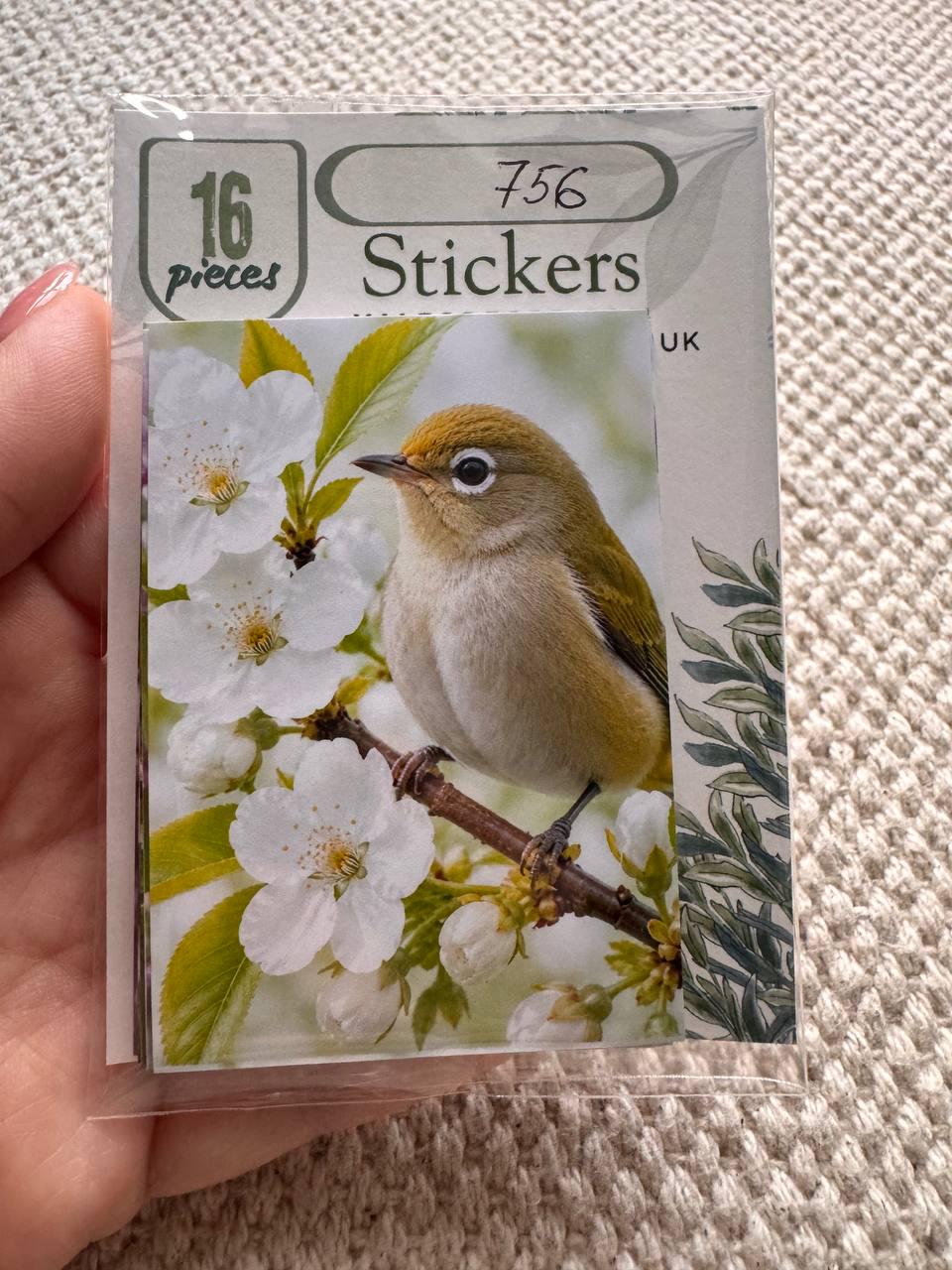 Spring Blossom & Garden Birds Stickers Set of 16, Floral Nature Stickers, Bird Lover Gift, Scrapbook Stickers, Handmade in UK