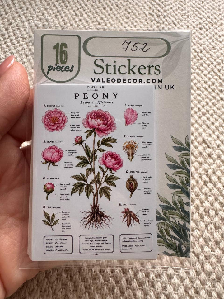 Vintage Botanical Stickers Set of 16, Botanical Illustration Stickers, Flower Study Stickers, Junk Journal Ephemera, Handmade in UK