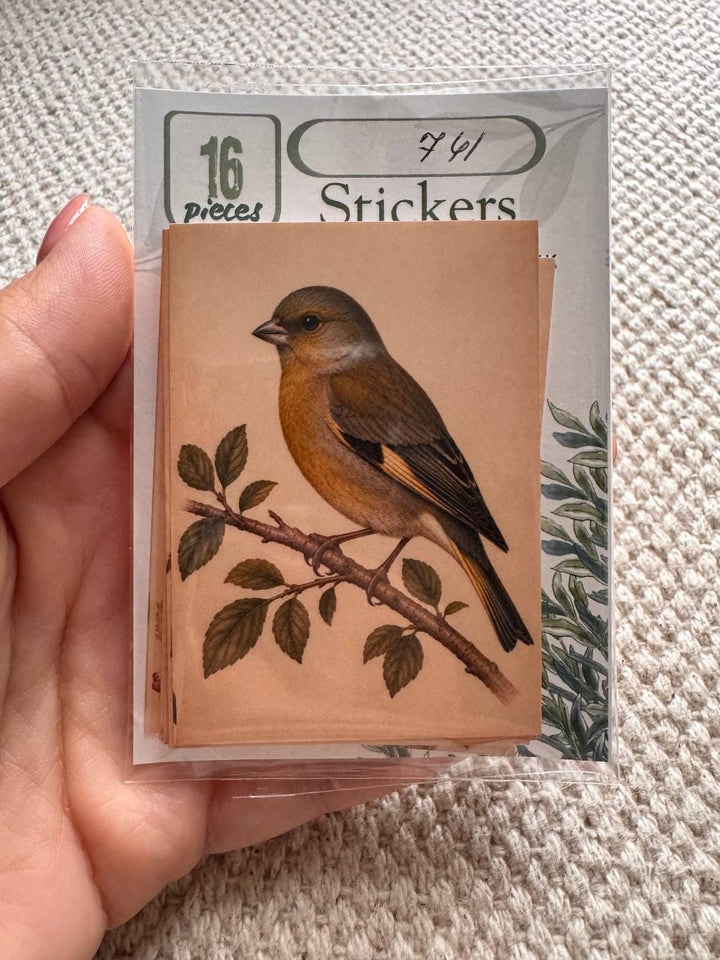 Vintage British Bird Stickers Set of 16, Robin Blue Tit Goldfinch Finch Nature Journal Stickers Bird Lover Gift UK Handmade