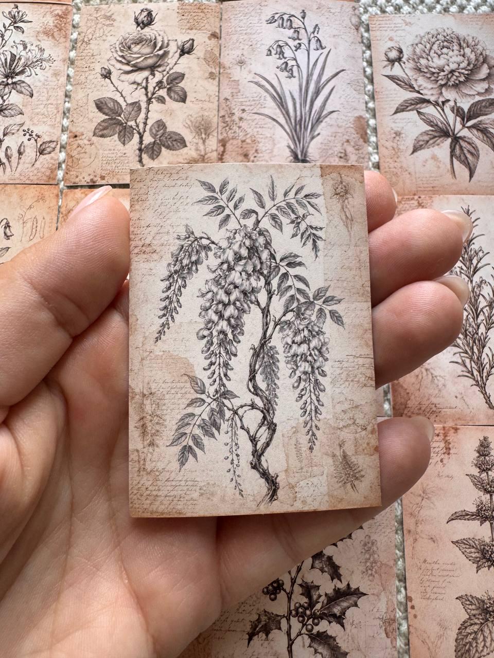 Vintage Botanical Stickers Set of 16, Antique Floral Ephemera, Cottagecore Journal Stickers, Handmade in UK, Scrapbook Decor