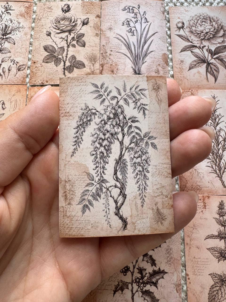 Vintage Botanical Stickers Set of 16, Antique Floral Ephemera, Cottagecore Journal Stickers, Handmade in UK, Scrapbook Decor