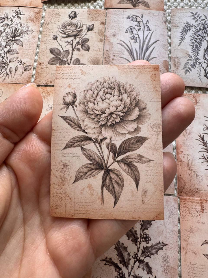 Set of 30 Wildflower Stickers Set, Meadow Flower Die Cuts, Botanical Scrapbook Stickers, Floral Journal Ephemera, Cottagecore Flower Pack