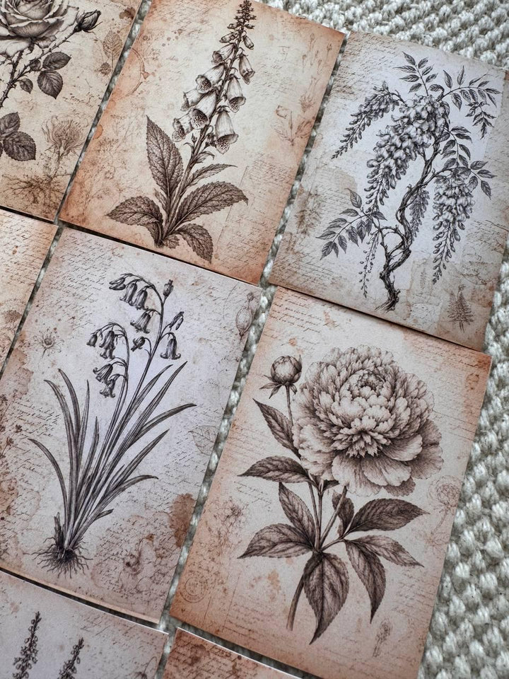 Vintage Botanical Stickers Set of 16, Antique Floral Ephemera, Cottagecore Journal Stickers, Handmade in UK, Scrapbook Decor