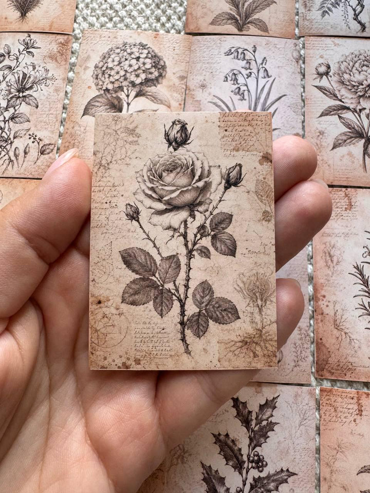 Set of 30 Wildflower Stickers Set, Meadow Flower Die Cuts, Botanical Scrapbook Stickers, Floral Journal Ephemera, Cottagecore Flower Pack