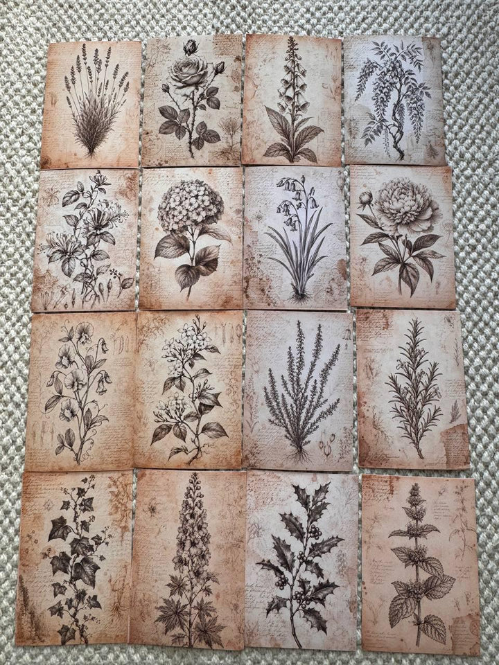Set of 30 Wildflower Stickers Set, Meadow Flower Die Cuts, Botanical Scrapbook Stickers, Floral Journal Ephemera, Cottagecore Flower Pack