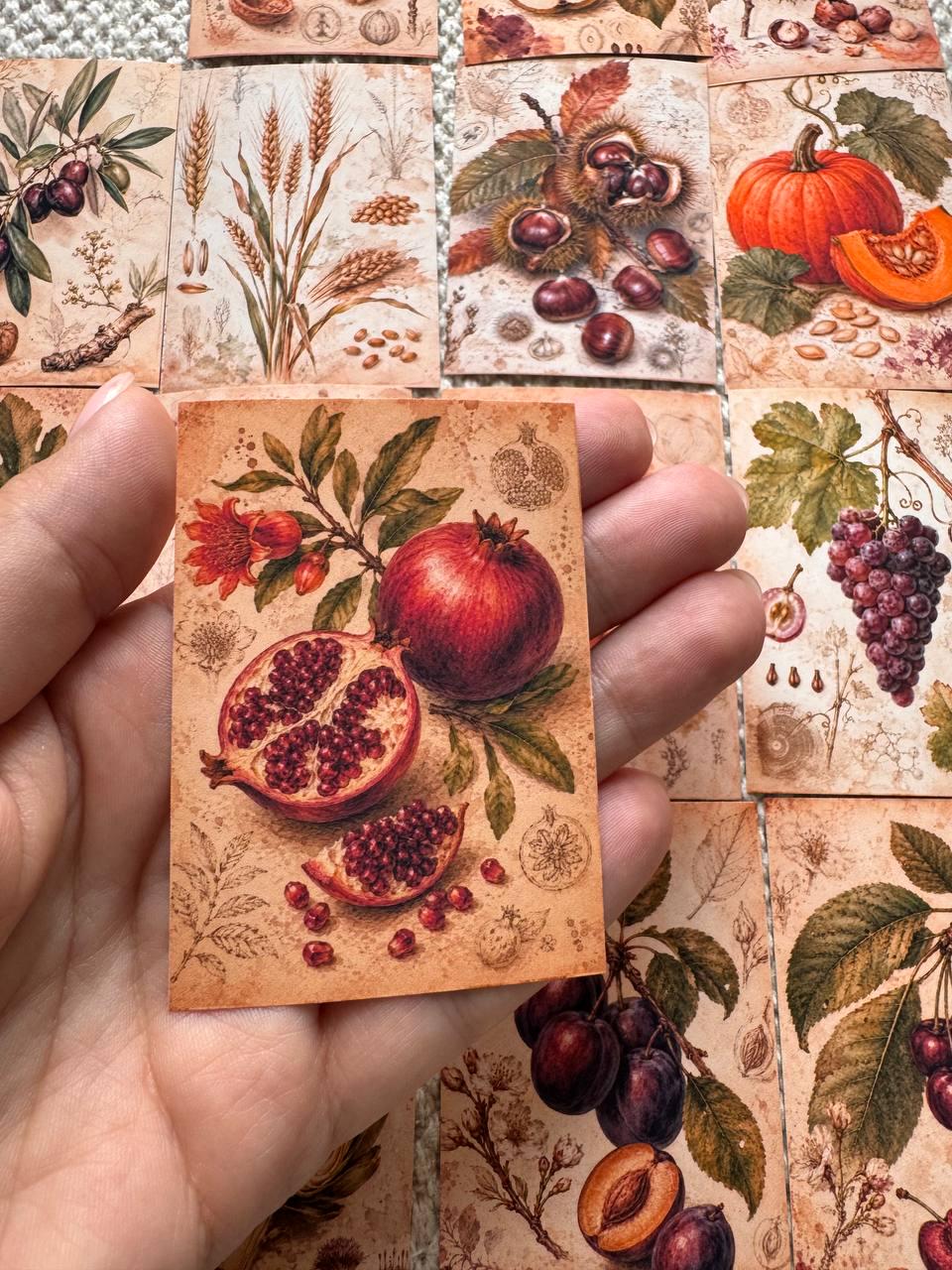 Vintage Botanical Fruit Stickers Set of 16, Cottagecore Journal Stickers, Autumn Harvest Ephemera, Handmade in UK, Scrapbook