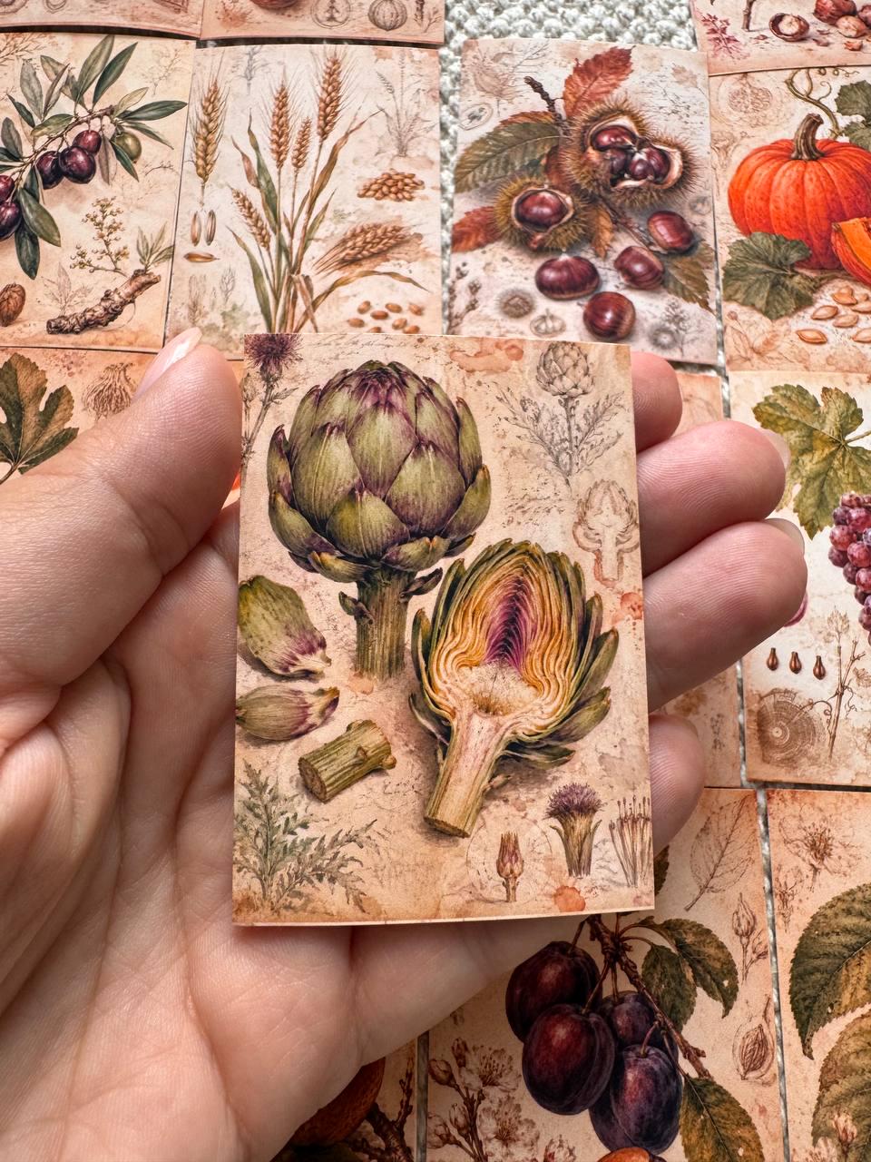 Vintage Botanical Fruit Stickers Set of 16, Cottagecore Journal Stickers, Autumn Harvest Ephemera, Handmade in UK, Scrapbook