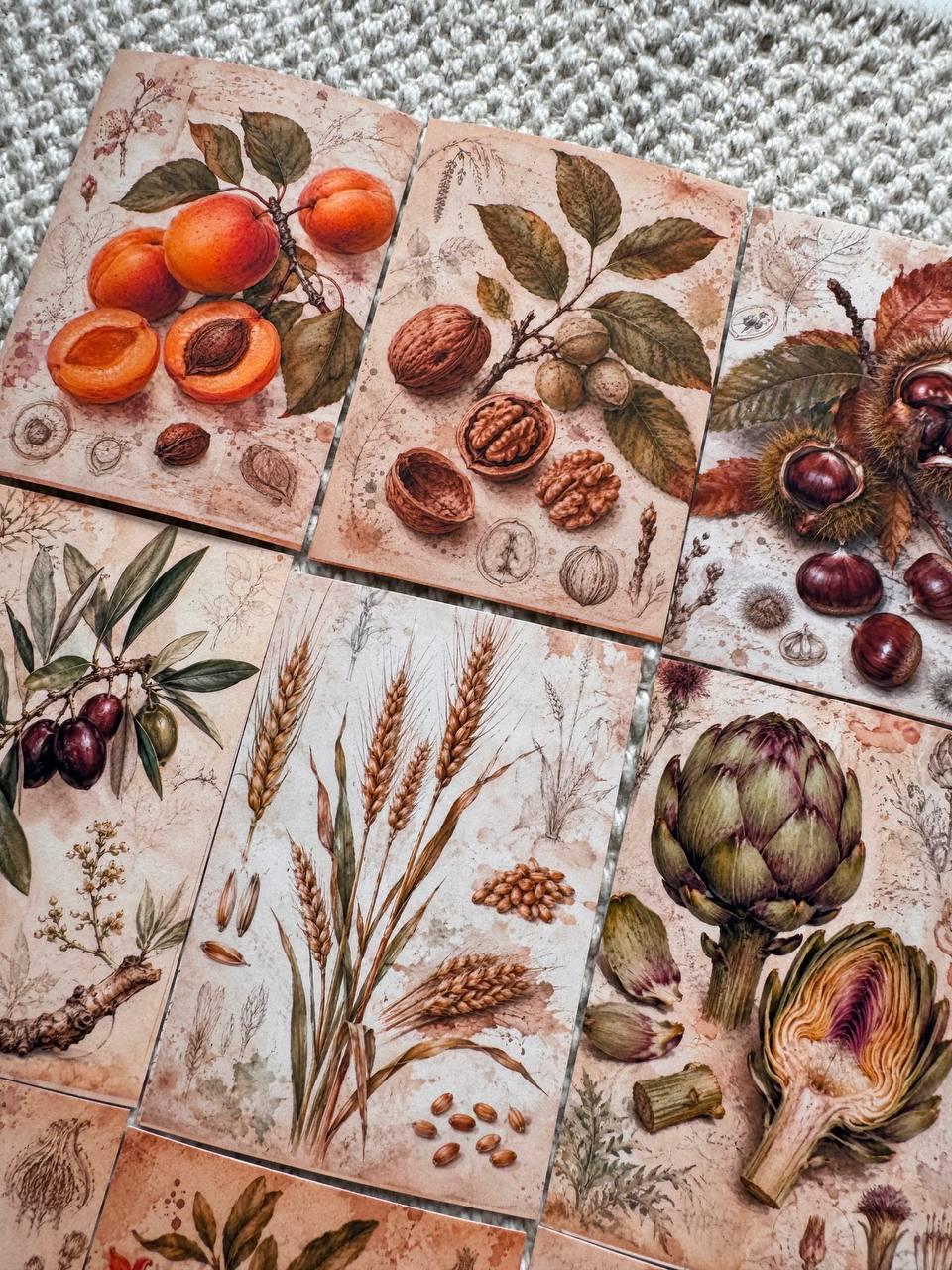 Vintage Botanical Fruit Stickers Set of 16, Cottagecore Journal Stickers, Autumn Harvest Ephemera, Handmade in UK, Scrapbook