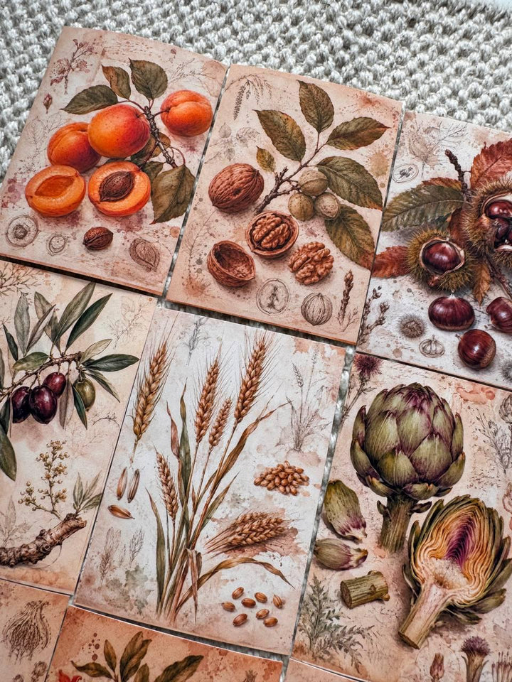 Vintage Botanical Fruit Stickers Set of 16, Cottagecore Journal Stickers, Autumn Harvest Ephemera, Handmade in UK, Scrapbook