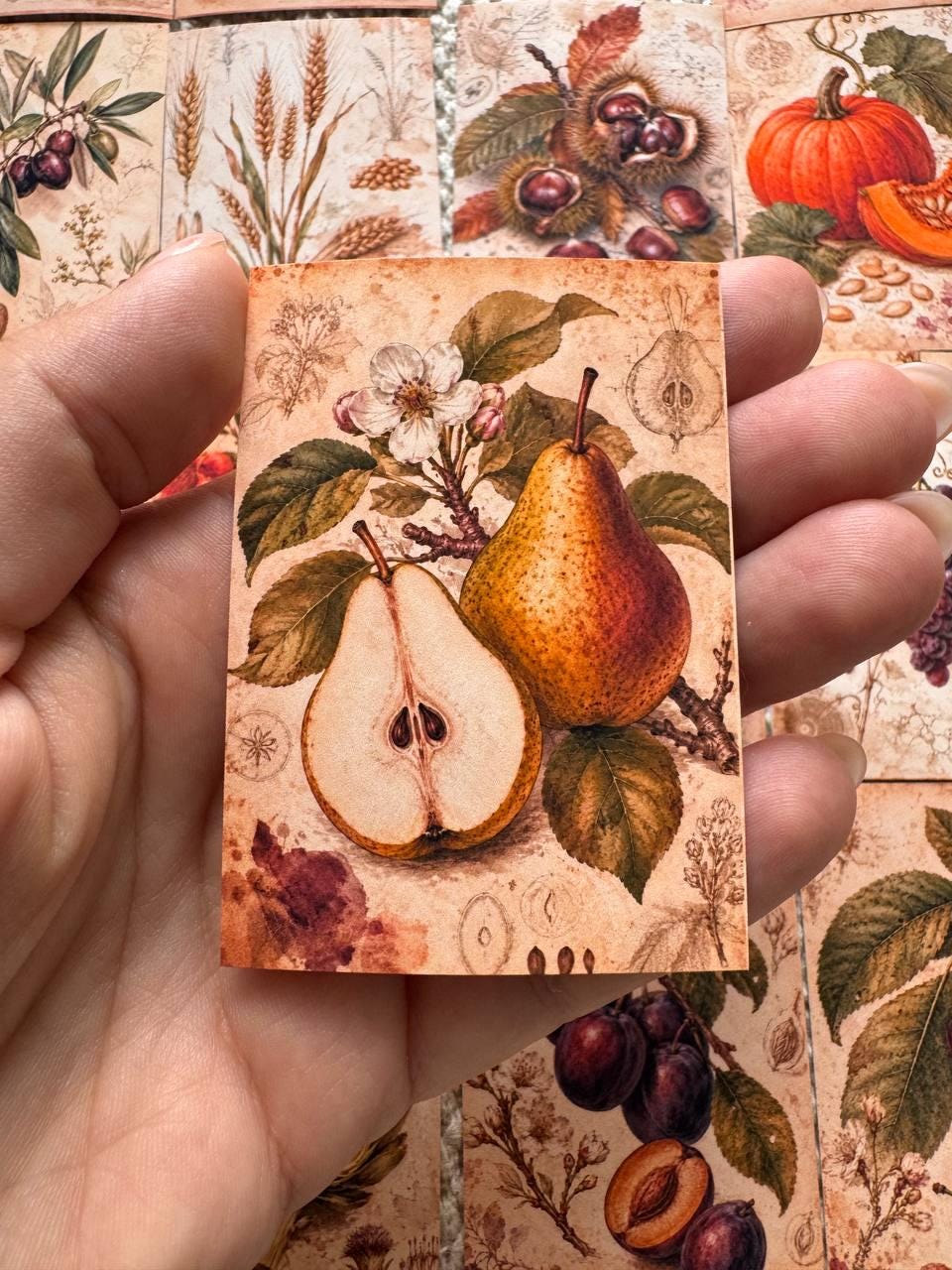 Vintage Botanical Fruit Stickers Set of 16, Cottagecore Journal Stickers, Autumn Harvest Ephemera, Handmade in UK, Scrapbook