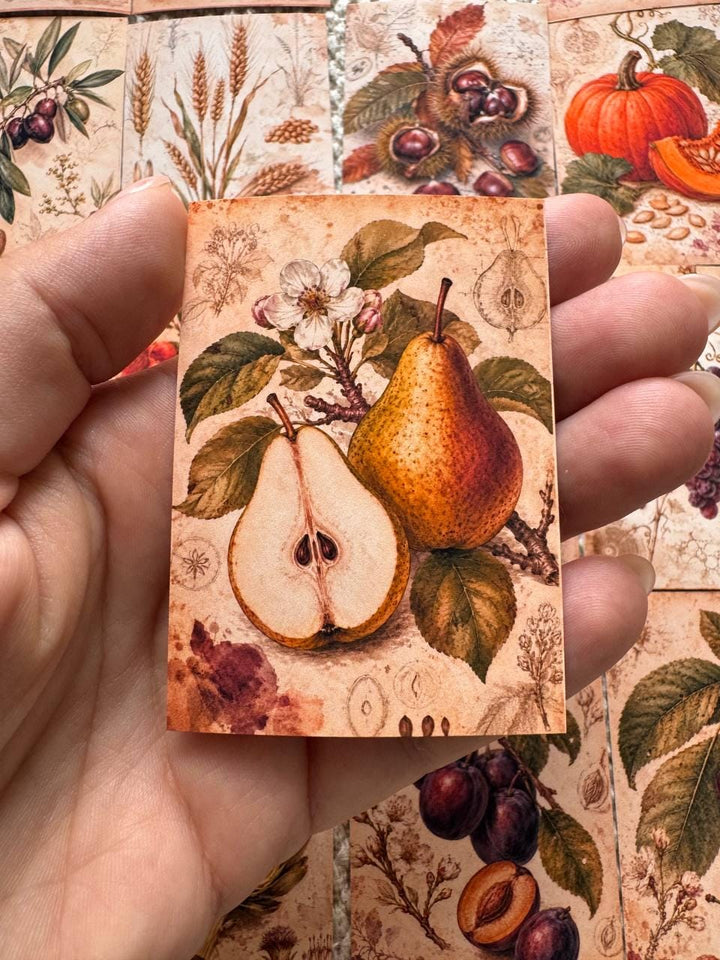Vintage Botanical Fruit Stickers Set of 16, Cottagecore Journal Stickers, Autumn Harvest Ephemera, Handmade in UK, Scrapbook
