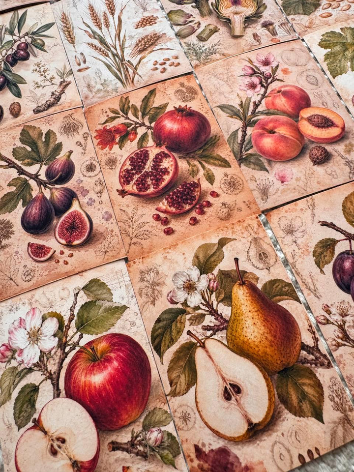 Vintage Botanical Fruit Stickers Set of 16, Cottagecore Journal Stickers, Autumn Harvest Ephemera, Handmade in UK, Scrapbook