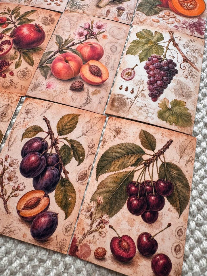 Vintage Botanical Fruit Stickers Set of 16, Cottagecore Journal Stickers, Autumn Harvest Ephemera, Handmade in UK, Scrapbook