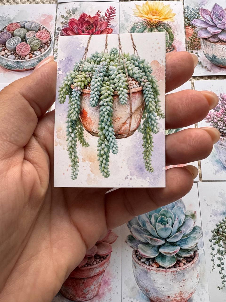 Succulent Stickers Set of 16, Watercolor Cactus & Succulent Stickers, Botanical Planner Stickers, Handmade in the UK, Journal Decor