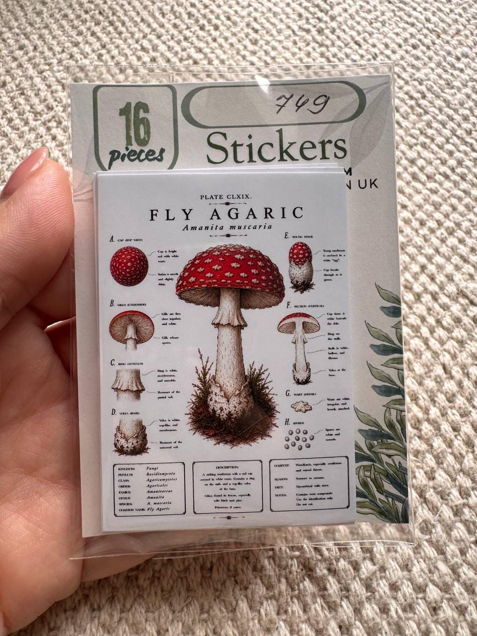 Vintage Mushroom Stickers Set of 16, Botanical Fungi Stickers, Cottagecore Nature Journal Stickers, Scrapbooking Decor, UK Handmade