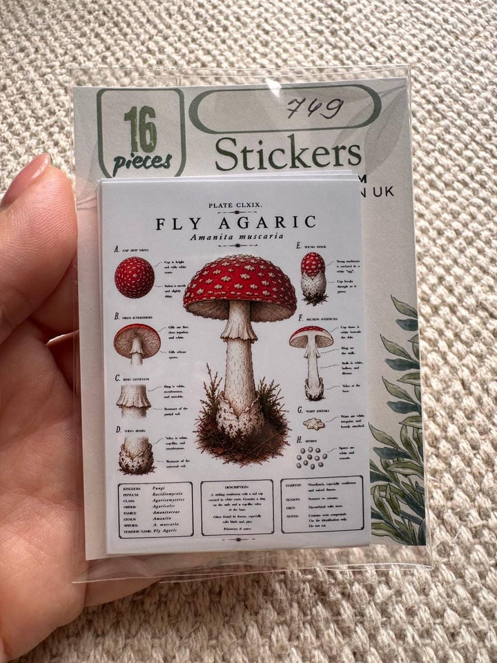 Vintage Mushroom Stickers Set of 16, Botanical Fungi Stickers, Cottagecore Nature Journal Stickers, Scrapbooking Decor, UK Handmade