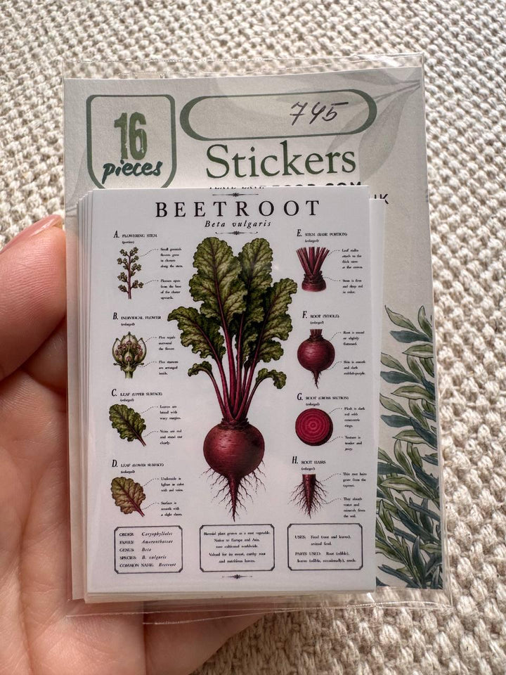 Vintage Vegetable Stickers, Botanical Illustration Pack, Garden Journal Decor UK