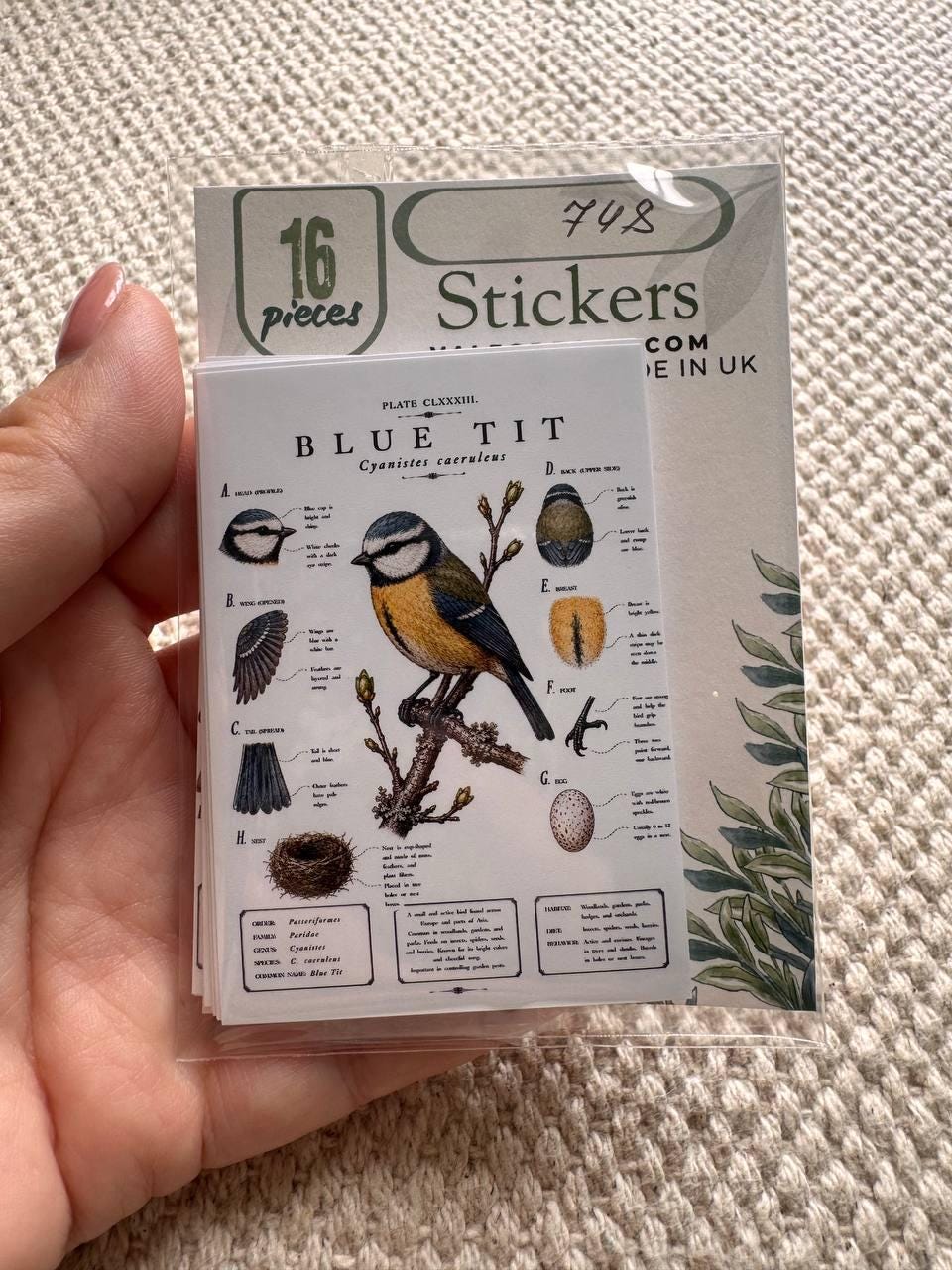 Vintage British Bird Stickers Set of 16, Botanical Bird Illustration Stickers, Nature Journal Stickers, UK Wildlife Birds