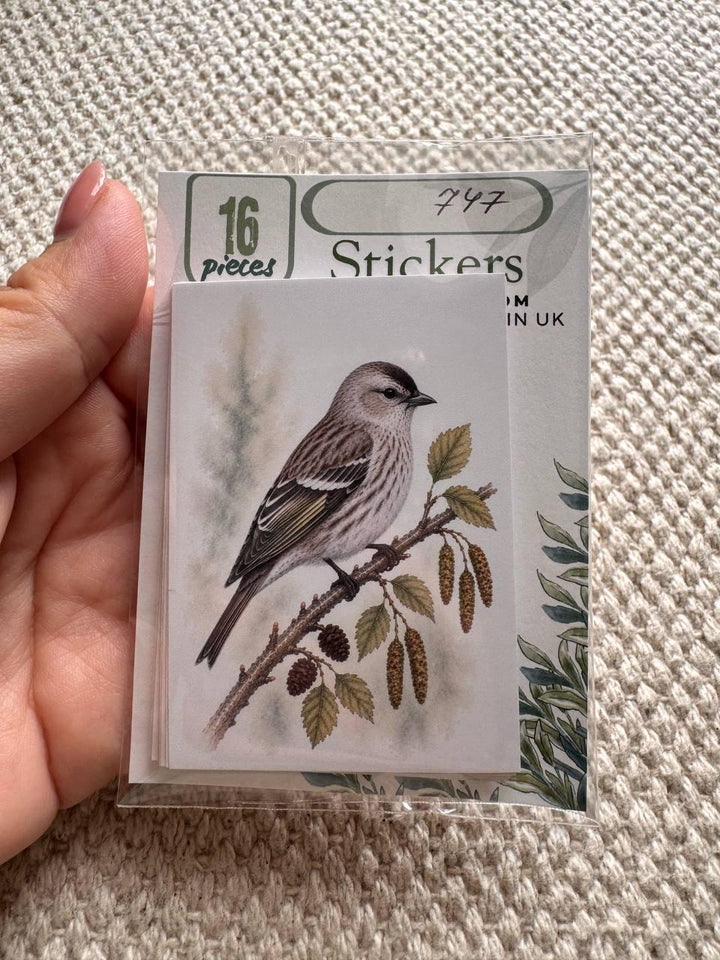 Vintage Bird Stickers Set of 16, British Wildlife Birds, Nature Journal Stickers, Birdwatching Ephemera, UK Handmade