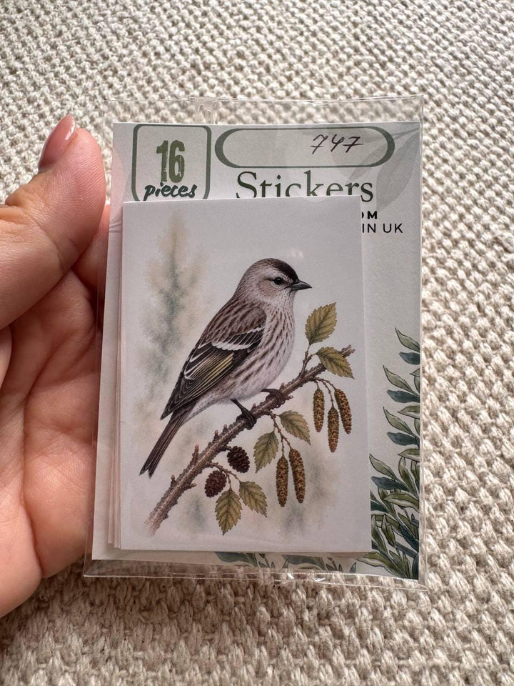 Vintage Bird Stickers Set of 16, British Wildlife Birds, Nature Journal Stickers, Birdwatching Ephemera, UK Handmade