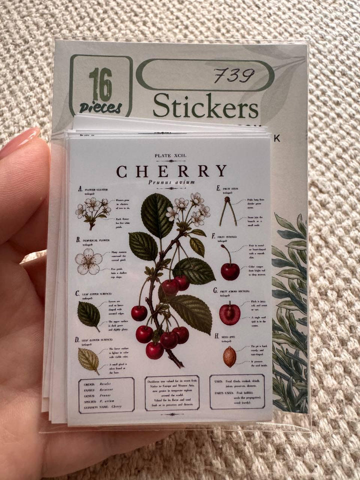 Vintage Fruit Stickers Set of 16, Botanical Fruit Illustrations, Cottagecore Journal Stickers, Fruit Ephemera, UK Handmade