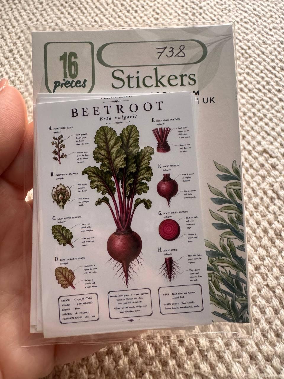 Vintage Vegetable Stickers Set of 16, Botanical Garden Stickers, Vegetable Journal Ephemera, Cottagecore Scrapbook, UK Handmade