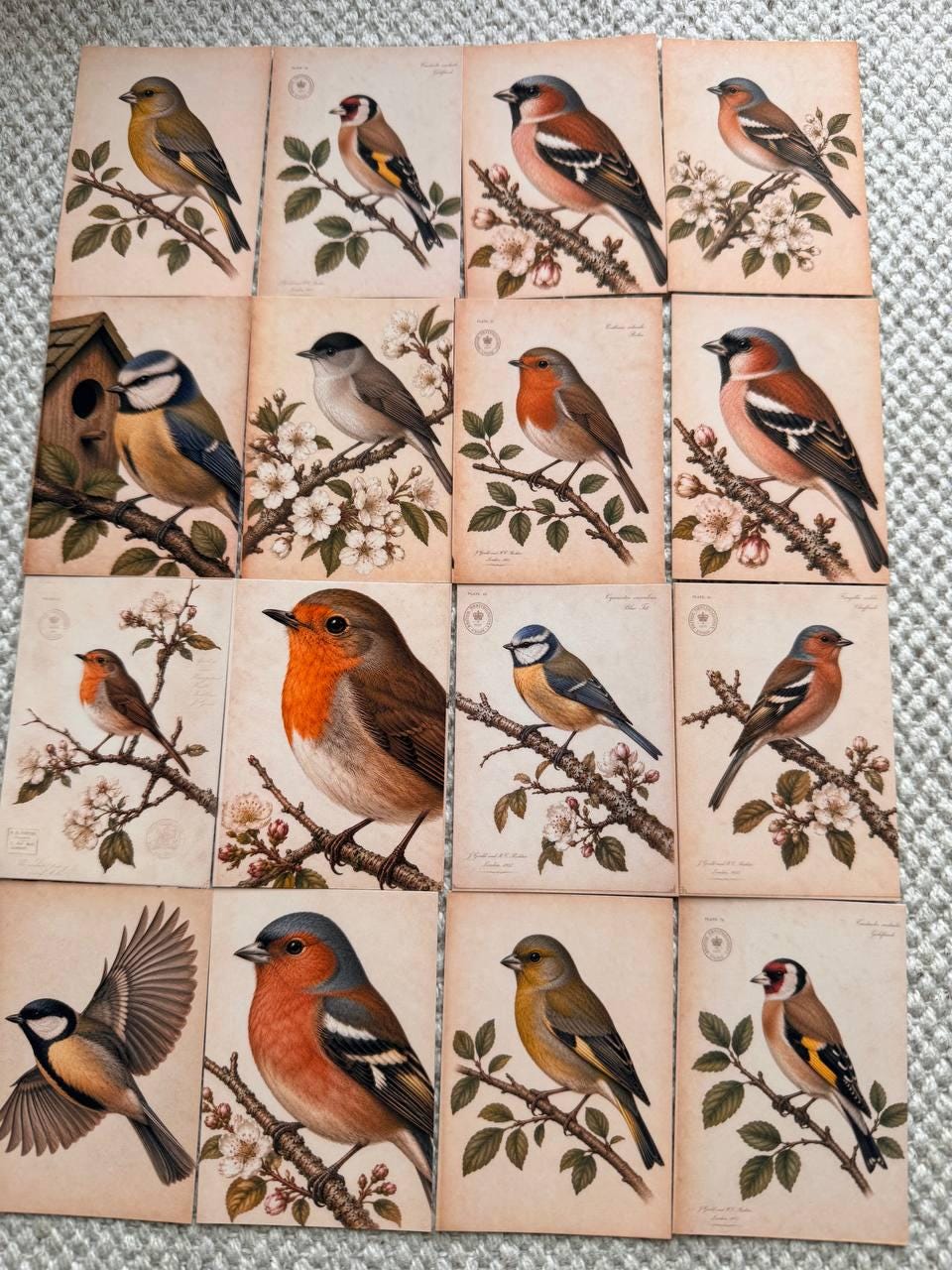 Vintage British Bird Stickers Set of 16, Robin Blue Tit Goldfinch Finch Nature Journal Stickers Bird Lover Gift UK Handmade