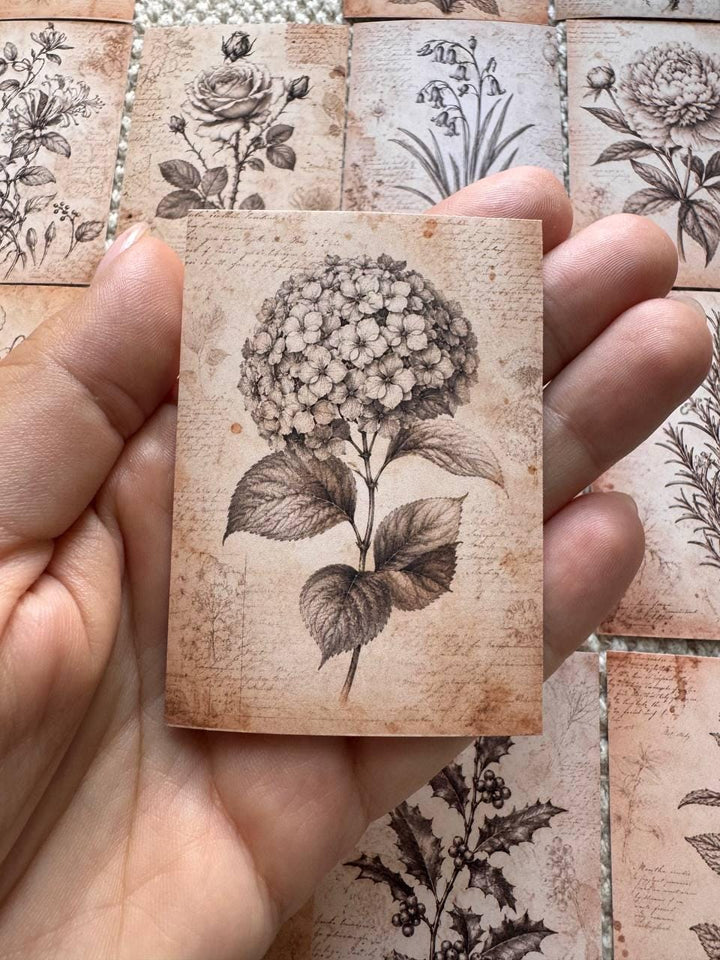 Vintage Botanical Stickers Set of 16, Antique Floral Ephemera, Cottagecore Journal Stickers, Handmade in UK, Scrapbook Decor