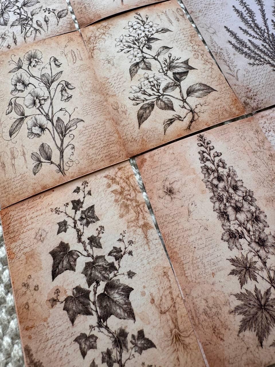 Vintage Botanical Stickers Set of 16, Antique Floral Ephemera, Cottagecore Journal Stickers, Handmade in UK, Scrapbook Decor