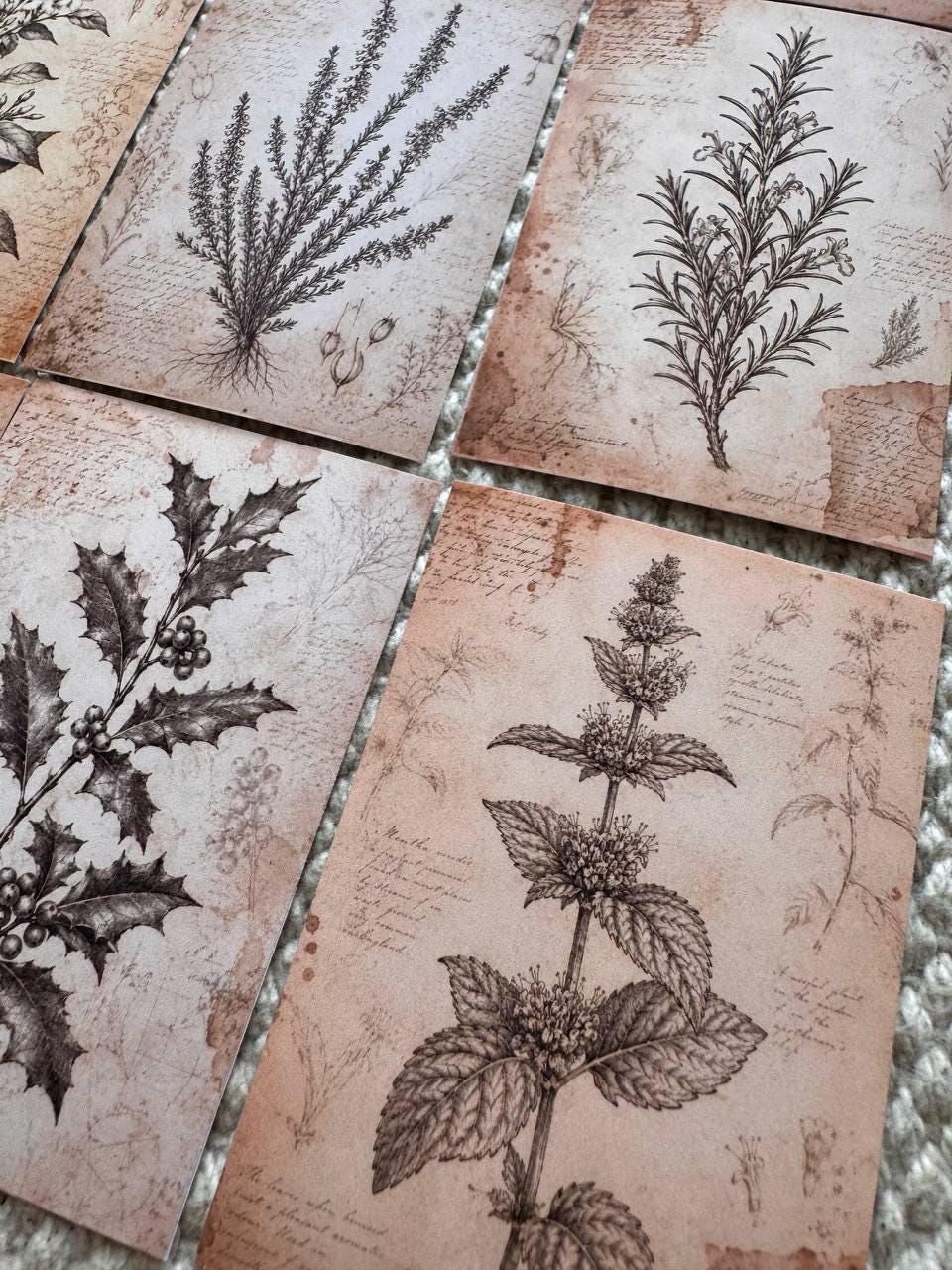 Vintage Botanical Stickers Set of 16, Antique Floral Ephemera, Cottagecore Journal Stickers, Handmade in UK, Scrapbook Decor
