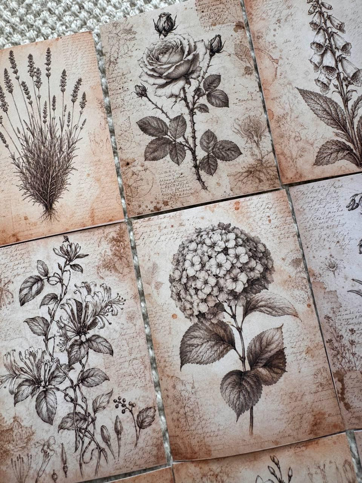 Set of 30 Wildflower Stickers Set, Meadow Flower Die Cuts, Botanical Scrapbook Stickers, Floral Journal Ephemera, Cottagecore Flower Pack