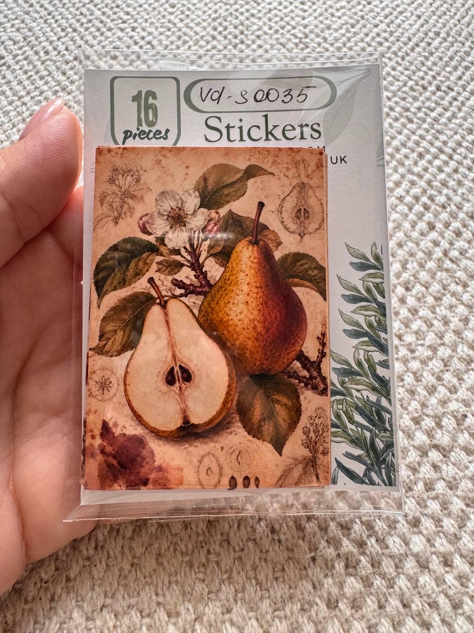 Vintage Botanical Fruit Stickers Set of 16, Cottagecore Journal Stickers, Autumn Harvest Ephemera, Handmade in UK, Scrapbook