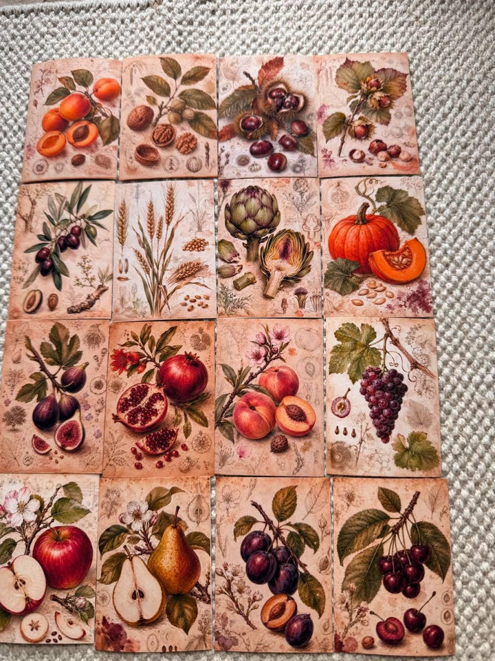 Vintage Botanical Fruit Stickers Set of 16, Cottagecore Journal Stickers, Autumn Harvest Ephemera, Handmade in UK, Scrapbook