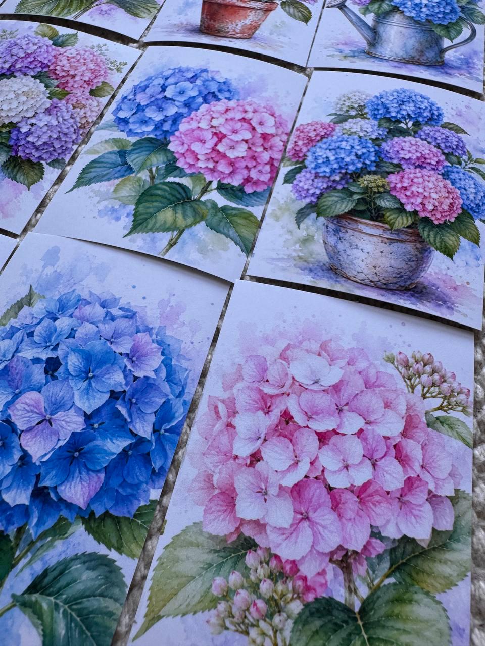 Hydrangea Flower Stickers Set of 16, Watercolor Botanical Floral Stickers, Handmade in UK, Journal Scrapbook Planner Decor Gift