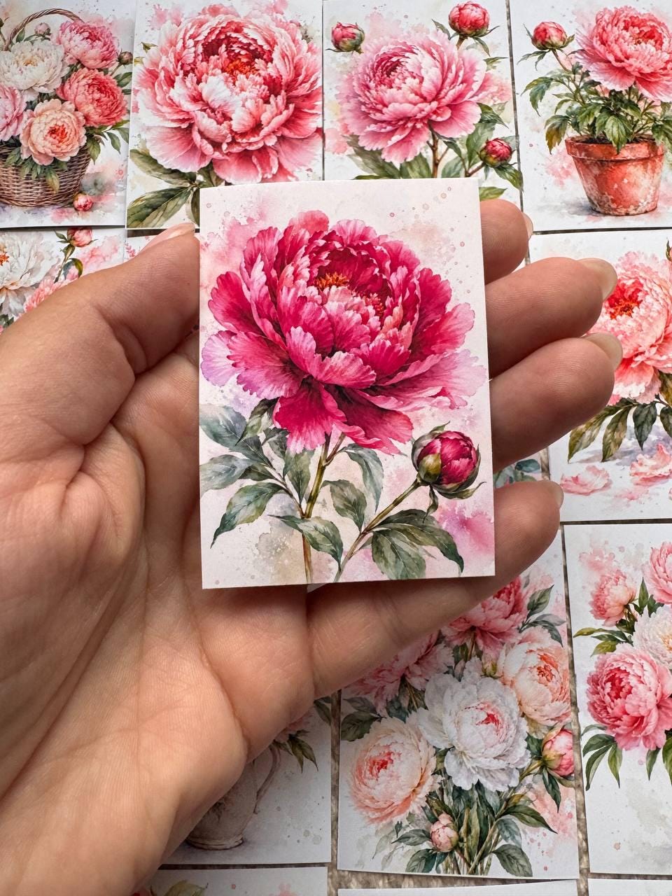 Peony Flower Stickers Set of 16, Watercolor Floral Stickers, Pink Peonies for Junk Journal, Scrapbook, Handmade in the UK Decor/vd-s0046