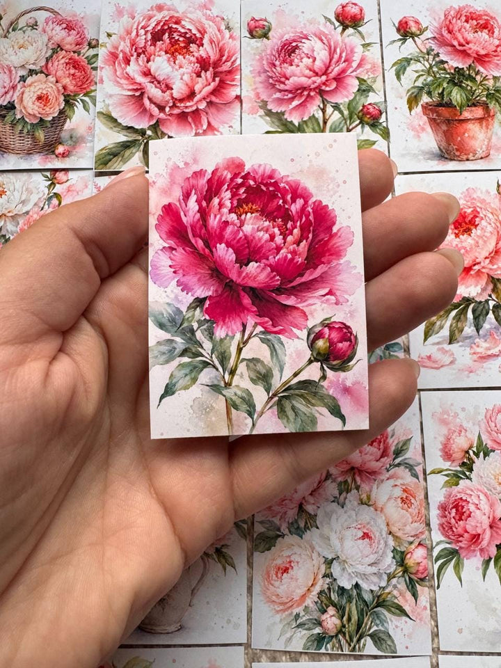 Peony Flower Stickers Set of 16, Watercolor Floral Stickers, Pink Peonies for Junk Journal, Scrapbook, Handmade in the UK Decor/vd-s0046