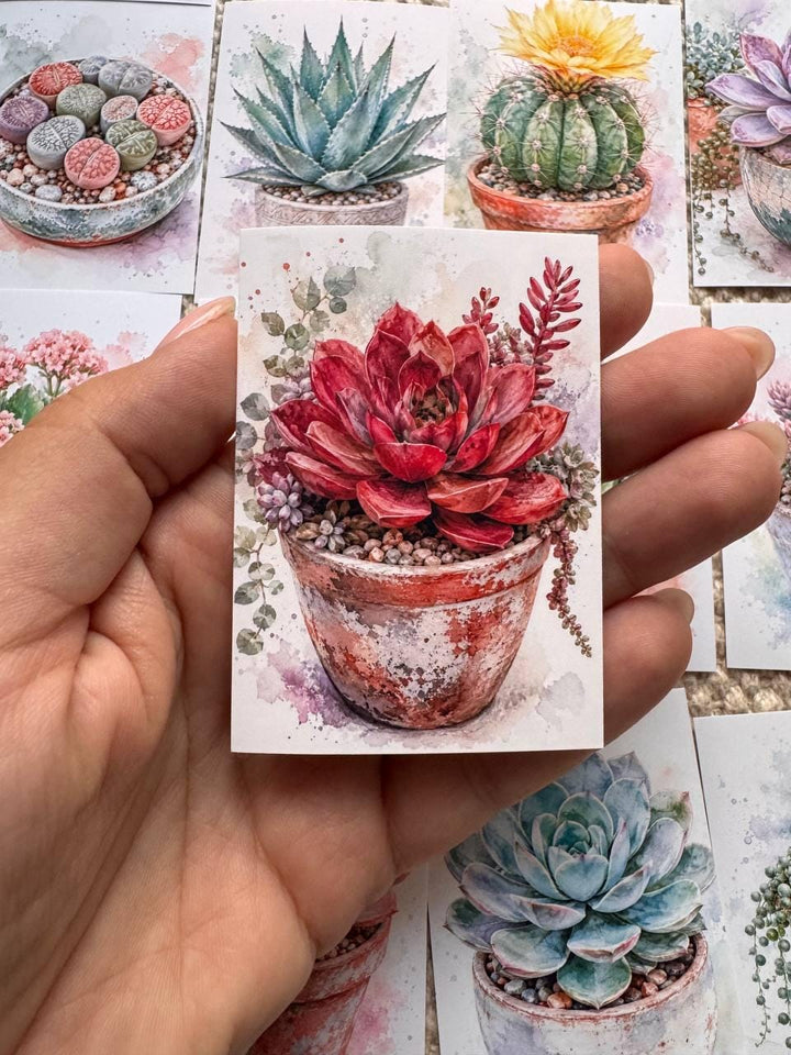 Succulent Stickers Set of 16, Watercolor Cactus & Succulent Stickers, Botanical Planner Stickers, Handmade in the UK, Journal Decor