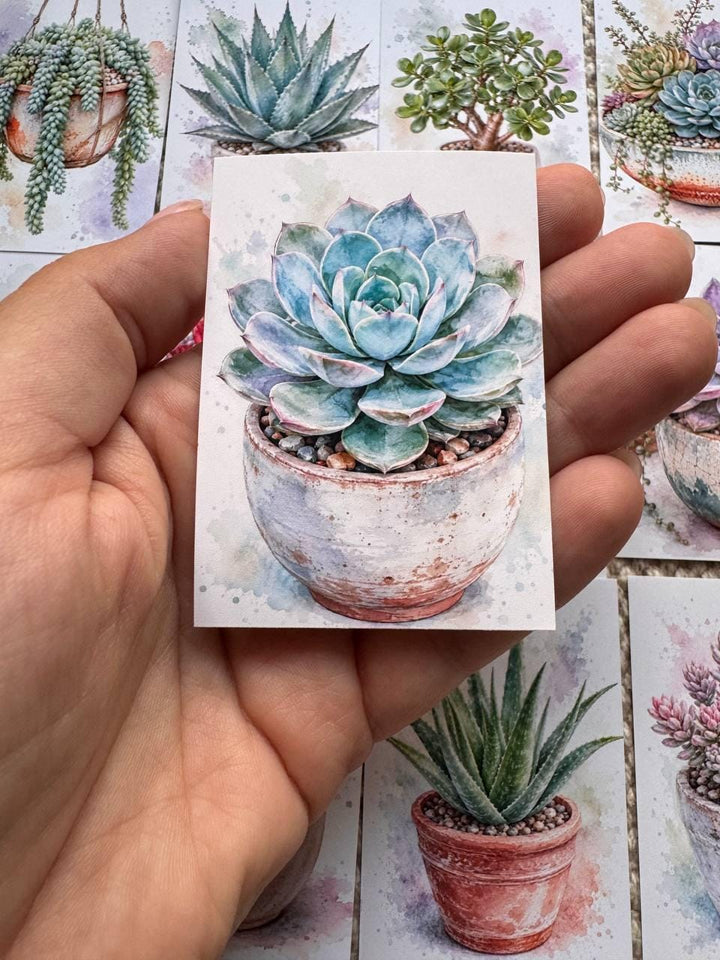 Succulent Stickers Set of 16, Watercolor Cactus & Succulent Stickers, Botanical Planner Stickers, Handmade in the UK, Journal Decor