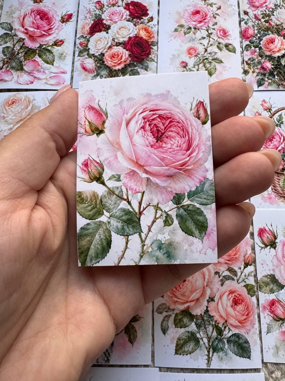 Rose Stickers Set of 16, Watercolor Rose Stickers, Floral Journal Stickers, Botanical Scrapbook Stickers, Handmade in the UK