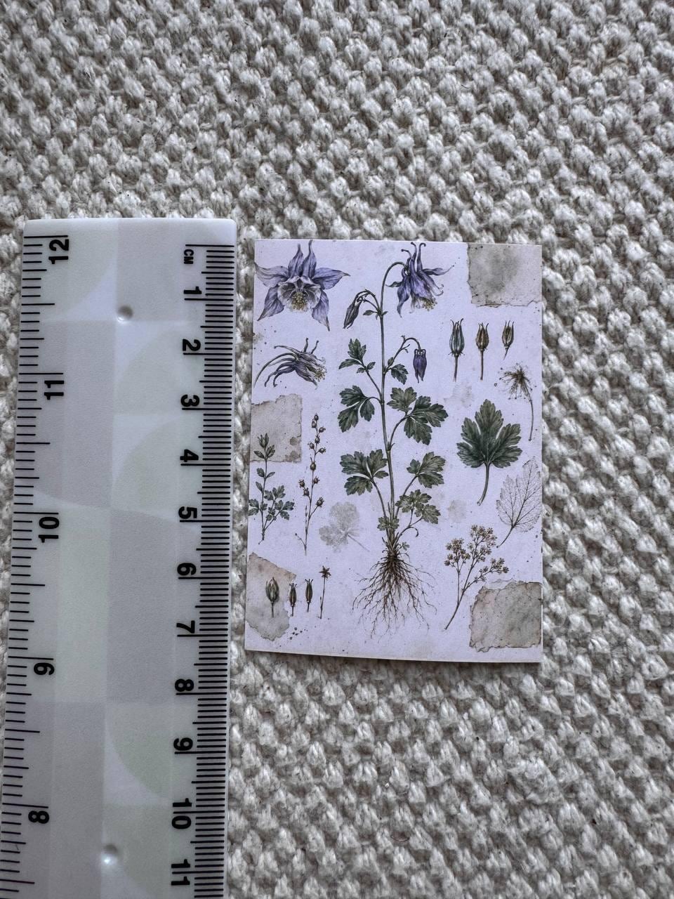 Vintage Botanical Herb Stickers Set of 16, Herbarium Watercolor Stickers, Nature Journal, Junk Journal, Handmade in the UK Decor