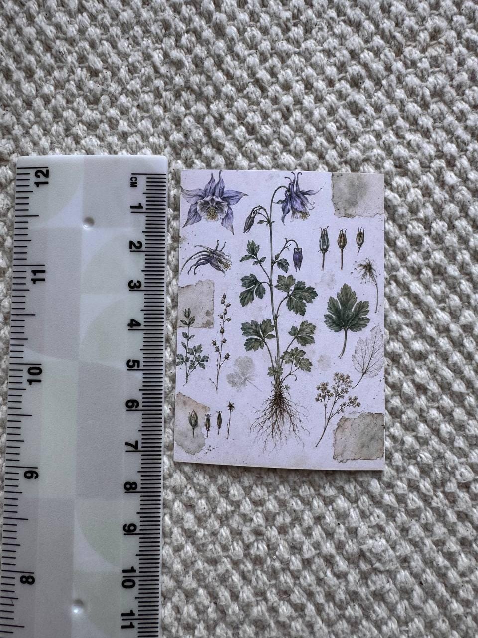 Vintage Botanical Herb Stickers Set of 16, Herbarium Watercolor Stickers, Nature Journal, Junk Journal, Handmade in the UK Decor