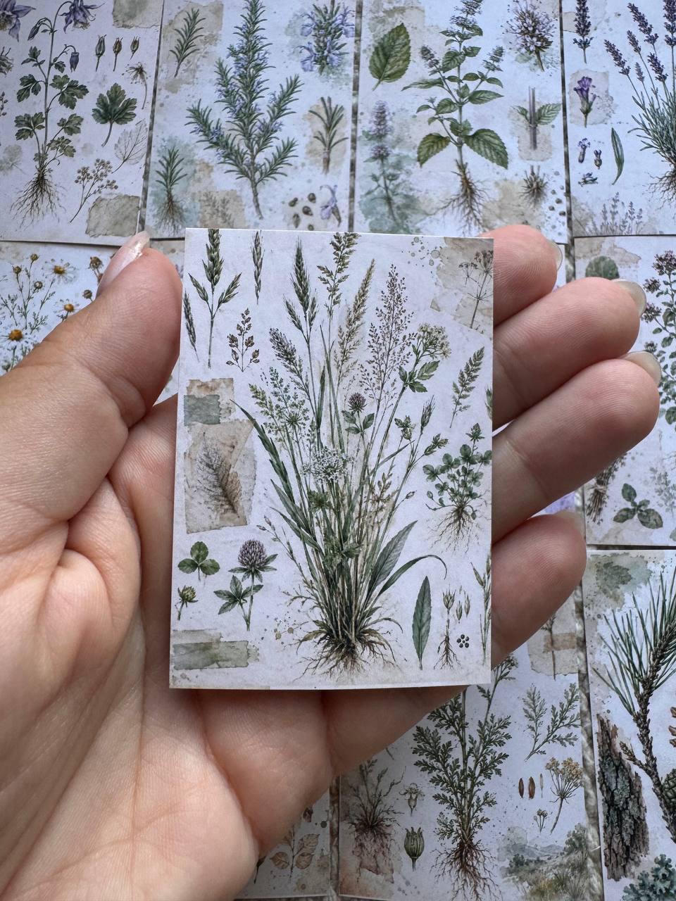 Vintage Botanical Herb Stickers Set of 16, Herbarium Watercolor Stickers, Nature Journal, Junk Journal, Handmade in the UK Decor