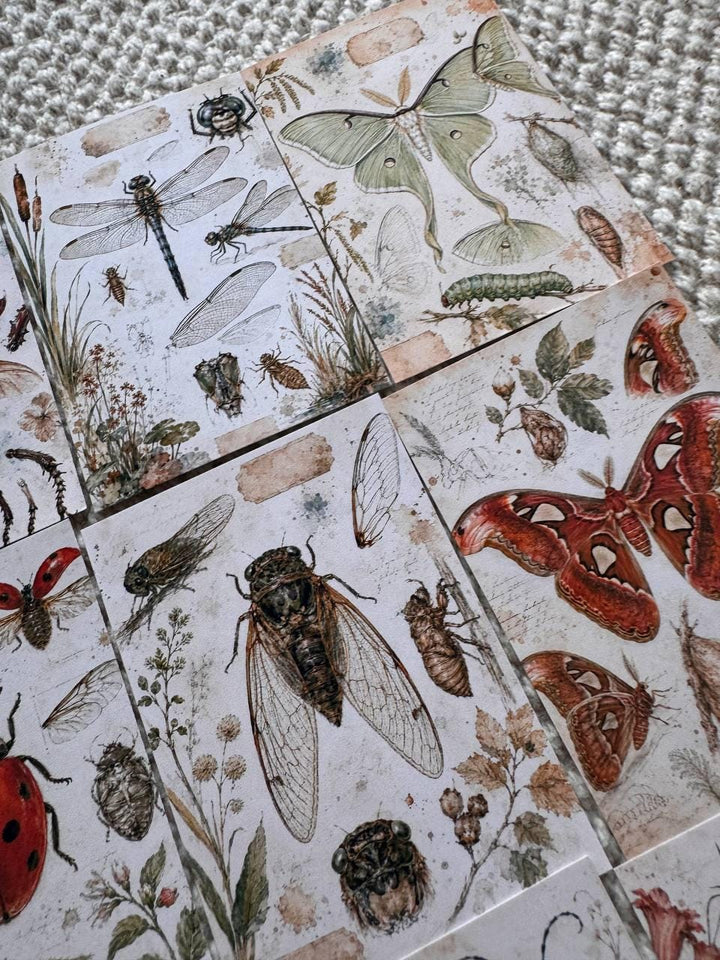 Vintage Entomology Stickers Set of 16, Butterfly & Insect Watercolor Stickers, Nature Junk Journal, Handmade in the UK Decor
