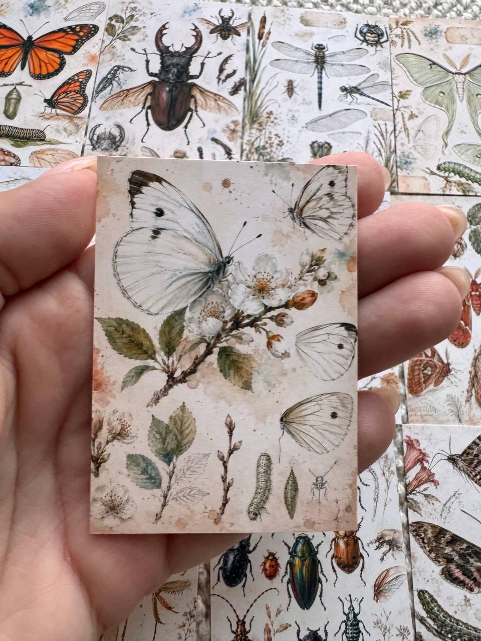 Vintage Entomology Stickers Set of 16, Butterfly & Insect Watercolor Stickers, Nature Junk Journal, Handmade in the UK Decor