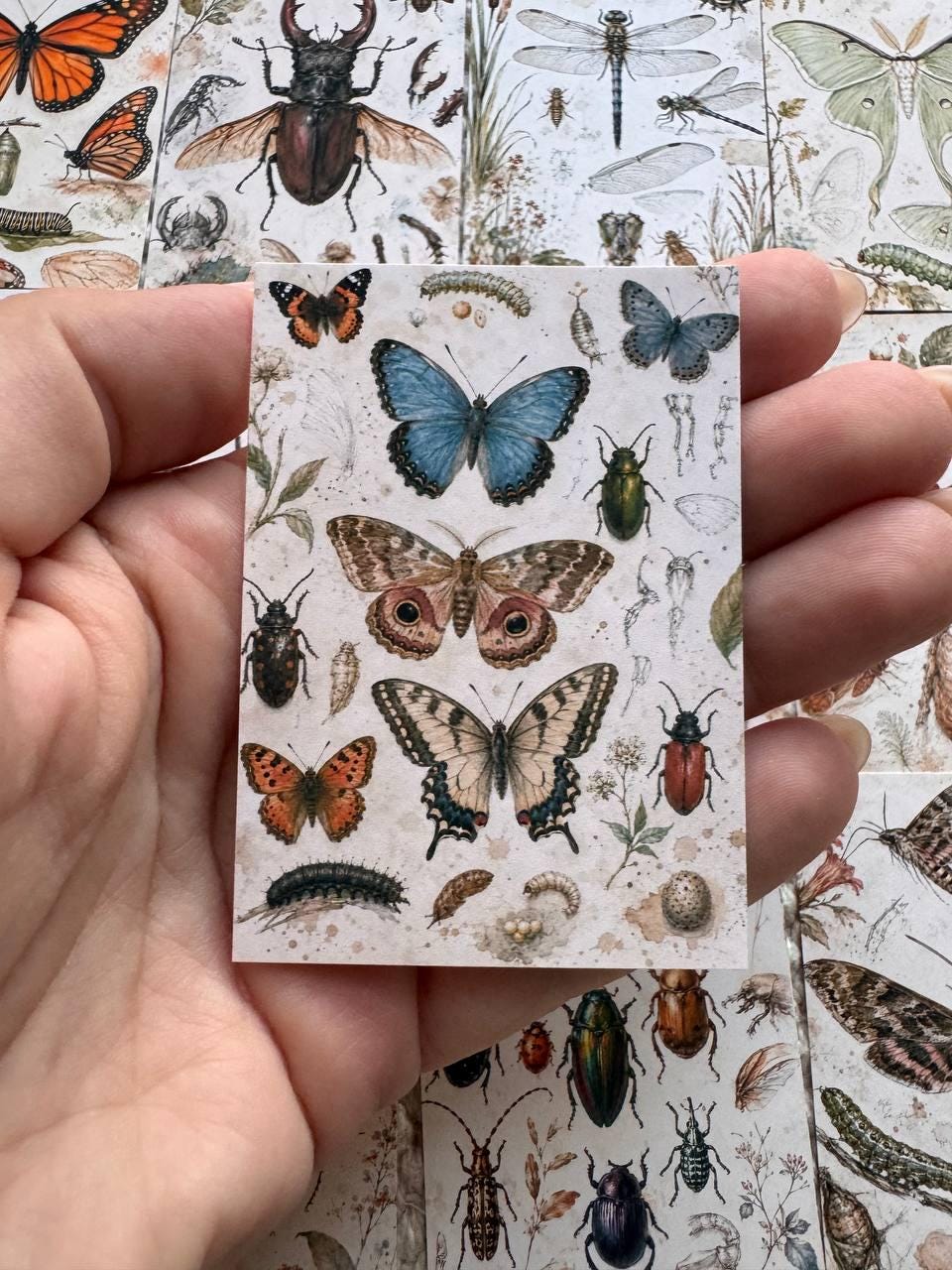 Vintage Entomology Stickers Set of 16, Butterfly & Insect Watercolor Stickers, Nature Junk Journal, Handmade in the UK Decor